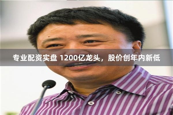 专业配资实盘 1200亿龙头，股价创年内新低