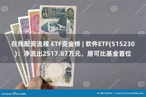 在线配资流程 ETF资金榜 | 软件ETF(515230)：净流出2517.87万元，居可比基金首位