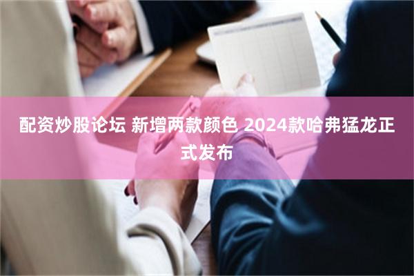 配资炒股论坛 新增两款颜色 2024款哈弗猛龙正式发布