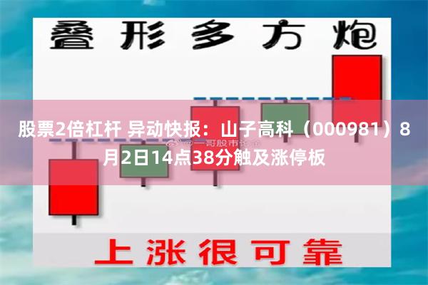 股票2倍杠杆 异动快报：山子高科（000981）8月2日14点38分触及涨停板