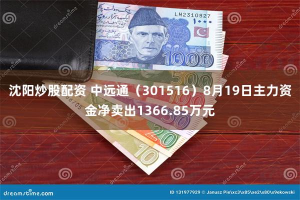 沈阳炒股配资 中远通（301516）8月19日主力资金净卖出1366.85万元