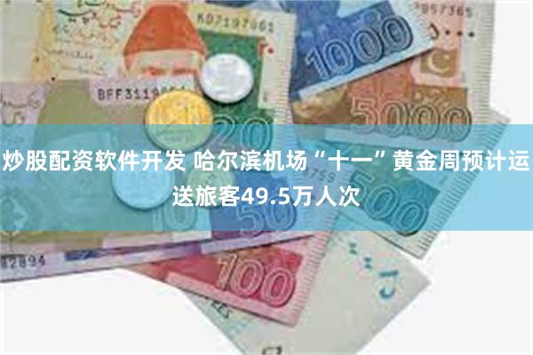 炒股配资软件开发 哈尔滨机场“十一”黄金周预计运送旅客49.5万人次