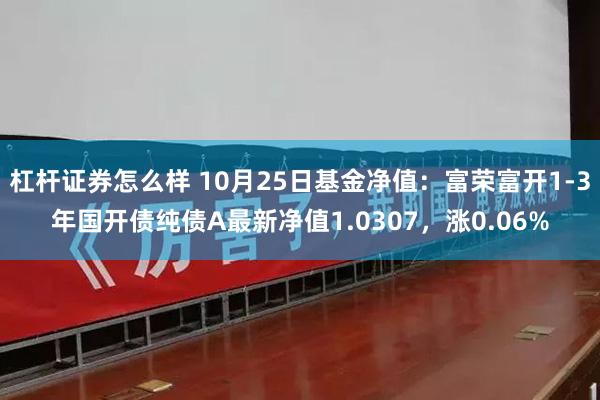 杠杆证券怎么样 10月25日基金净值：富荣富开1-3年国开债纯债A最新净值1.0307，涨0.06%