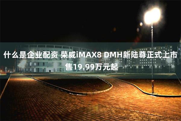 什么是企业配资 荣威iMAX8 DMH新陆尊正式上市 售19.99万元起