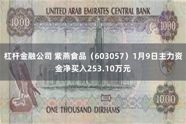 杠杆金融公司 紫燕食品（603057）1月9日主力资金净买入253.10万元