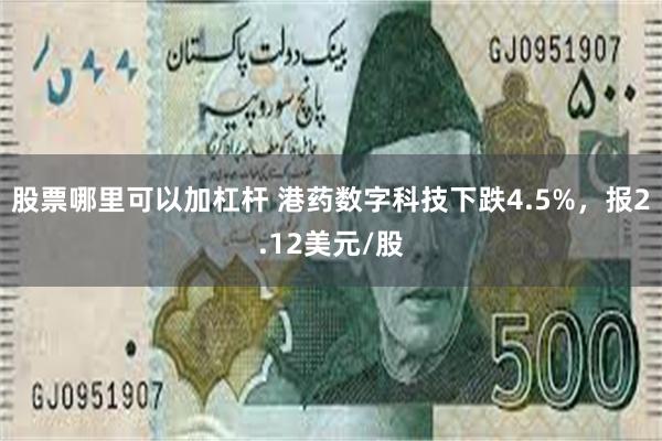 股票哪里可以加杠杆 港药数字科技下跌4.5%，报2.12美元/股