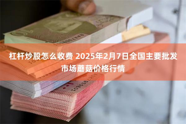 杠杆炒股怎么收费 2025年2月7日全国主要批发市场蘑菇价格行情