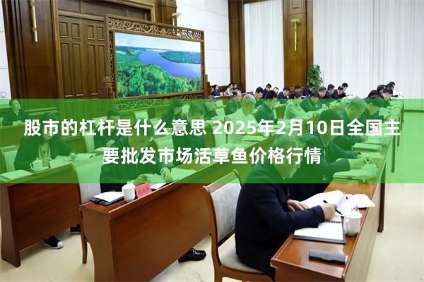 股市的杠杆是什么意思 2025年2月10日全国主要批发市场活草鱼价格行情