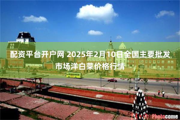 配资平台开户网 2025年2月10日全国主要批发市场洋白菜价格行情