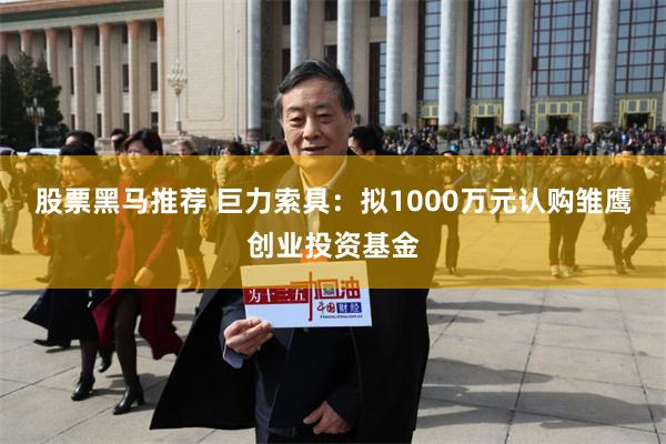 股票黑马推荐 巨力索具：拟1000万元认购雏鹰创业投资基金