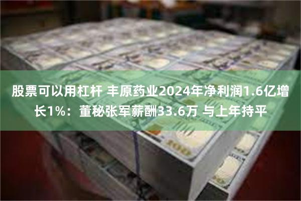 股票可以用杠杆 丰原药业2024年净利润1.6亿增长1%：董秘张军薪酬33.6万 与上年持平